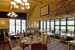 fusion brasserie