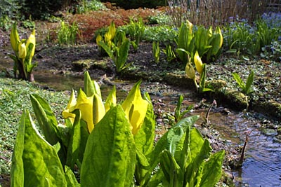 Water Feature - photo by Terry Morgan